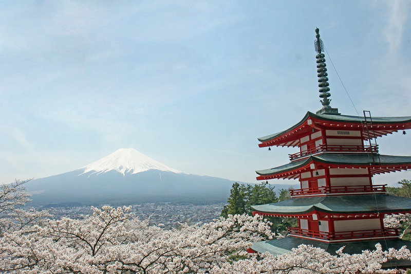 新倉富士浅間神社からの富士山と桜