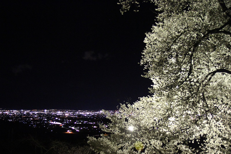 山梨県笛吹市八代町ふるさと公園の夜桜と夜景800