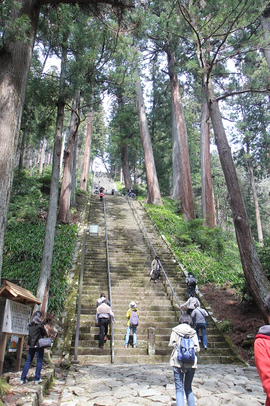 身延山久遠寺の階段800