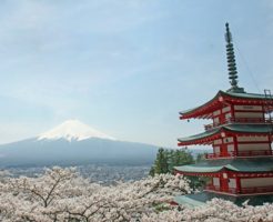 新倉浅間神社からの富士山と桜