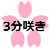 桜3分咲き
